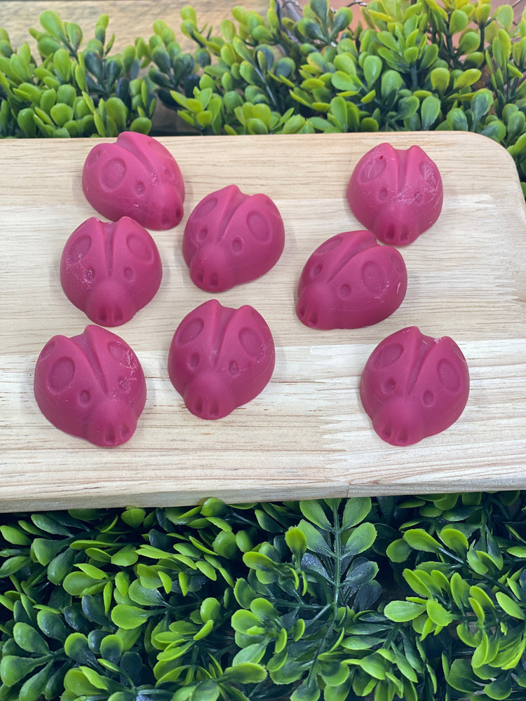 Lovely LadyBugs Wax Melts